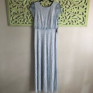 Adrianna Papell Gown